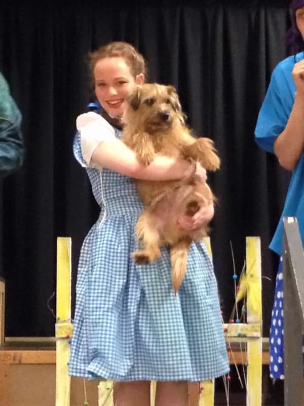 dorothy and toto